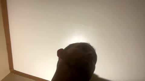 Snapshot of smokeymt420 chatting on March 8, 6:54 am smokeymt420 online show from March 8, 6:54 am