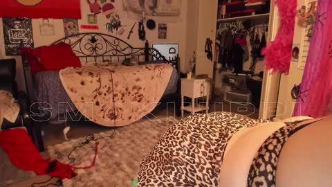 Snapshot of smokihippi chatting on December 27, 1:53 am Big Dawg online show from December 27, 1:53 am