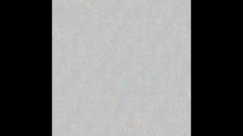 Elena and Herb online show from September 26, 5:06 pm