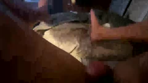 snicklefritz99 online show from December 10, 11:08 pm