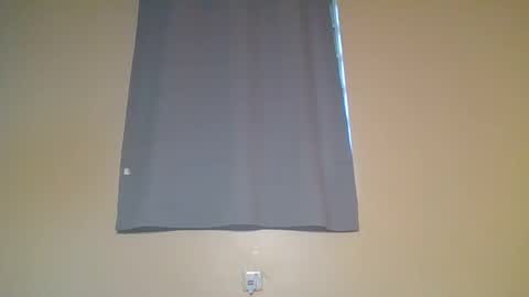 Snowie eyes online show from November 9, 1:20 pm