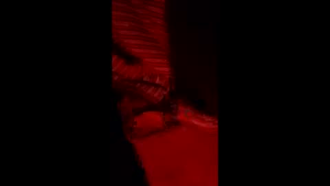 snqhephncxpu online show from March 11, 5:02 am