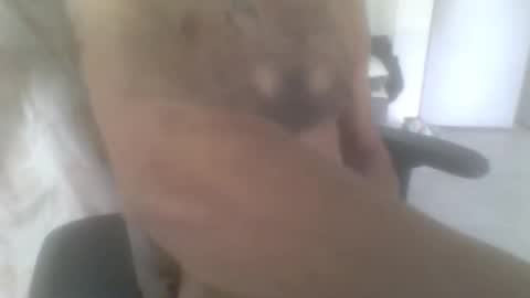 sodomite754 online show from November 9, 5:06 am