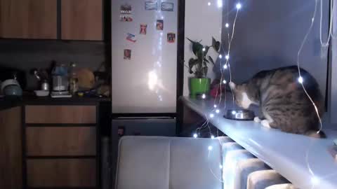 Sofi online show from January 19, 10:39 pm