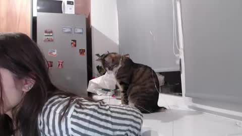 Sofi online show from February 11, 7:38 pm