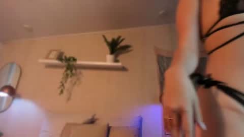 Snapshot of sofii_wild chatting on June 19, 1:48 pm sofii_wild online show from June 19, 1:48 pm
