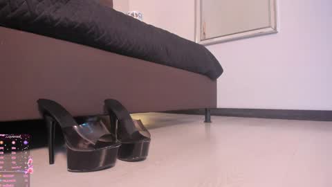      online show from January 23, 2:17 pm