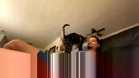 soharddr online show from October 14, 10:27 am