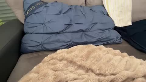 Tayla online show from February 28, 11:11 am