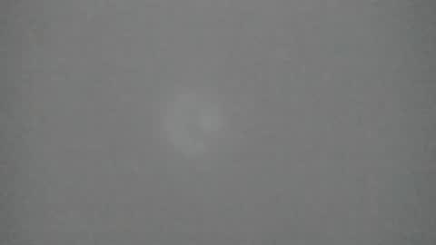 sophia_ebony___ online show from February 10, 12:31 pm