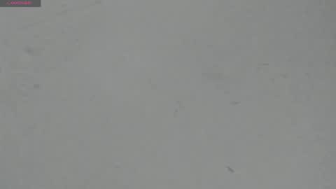 Snapshot of sophia_ebony___ chatting on April 29, 12:09 pm sophia_ebony___ online show from April 29, 12:09 pm