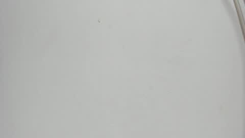 Snapshot of sophia_ebony___ chatting on May 19, 12:00 pm sophia_ebony___ online show from May 19, 12:00 pm