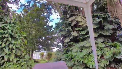 sophiaguzman_ online show from January 16, 3:38 pm