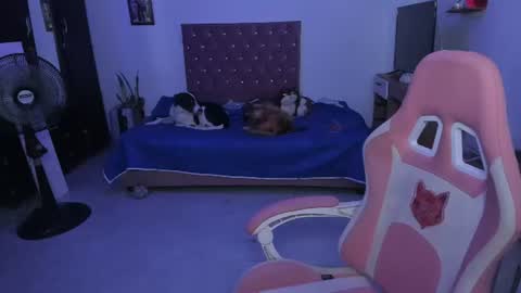 sophie doll online show from June 25, 2:33 am