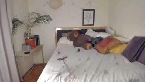 SofiTrans21 online show from November 24, 11:04 pm