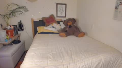 SofiTrans21 online show from January 12, 10:26 pm