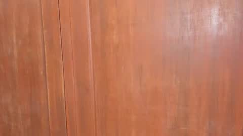 Shopiia88 online show from February 18, 12:01 pm