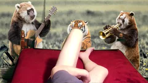 soymigo online show from February 11, 5:23 am