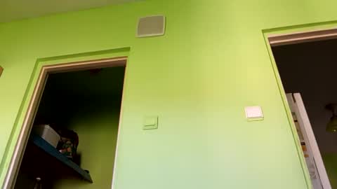 Snapshot of sparei7 chatting on April 26, 10:57 am Snaiky online show from April 26, 10:57 am
