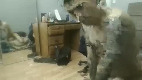 speedfreekeespun online show from February 25, 7:14 pm