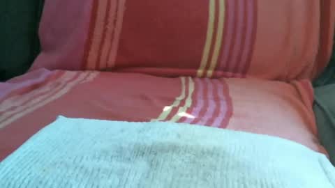 Silver Fox online show from June 28, 2:06 am