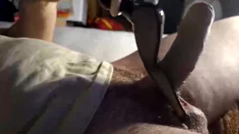 Snapshot of srb543 chatting on December 16, 9:09 pm srb543 online show from December 16, 9:09 pm