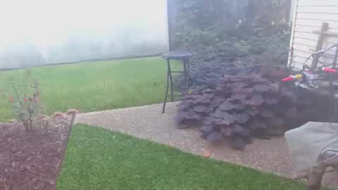 srtxshow online show from October 16, 1:45 pm