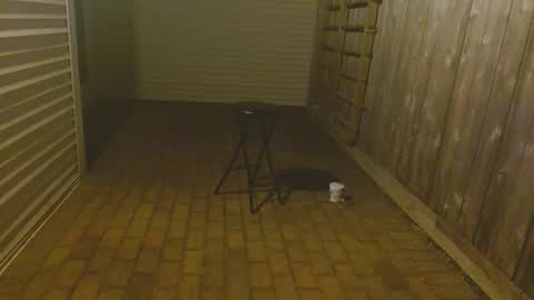 srtxshow online show from October 23, 11:53 am