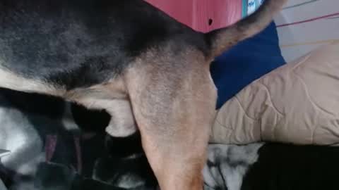 Sinserity online show from April 2, 9:23 pm