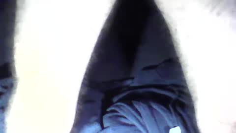 Stan McAnimal online show from December 24, 9:50 am