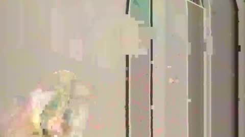 Snapshot of steedmont chatting on November 30, 11:31 pm steedmont online show from November 30, 11:31 pm