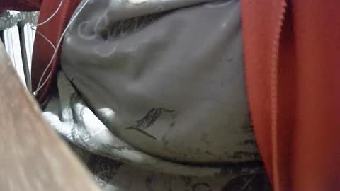 steef556 online show from February 6, 6:44 pm