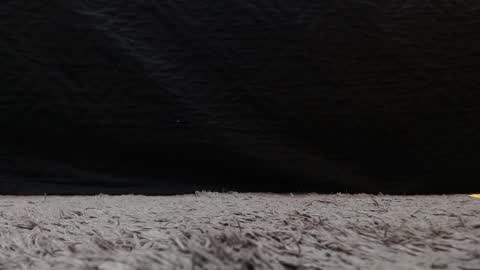 Stefany Brown online show from March 21, 11:26 am