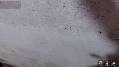 Snapshot of stefany_pablo1 chatting on November 1, 12:51 pm stefany_pablo1 online show from November 1, 12:51 pm