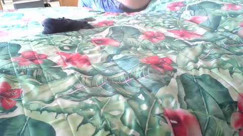 Snapshot of stel7621 chatting on October 16, 1:56 pm Rocco-load online show from October 16, 1:56 pm