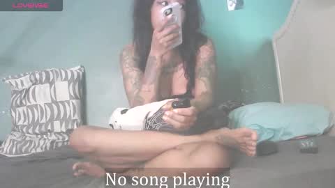 Stella Clitella online show from September 30, 11:37 am