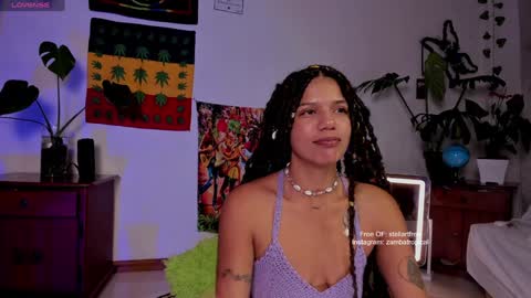 Snapshot of stellart_ chatting on January 17, 9:39 am stellart_ online show from January 17, 9:39 am