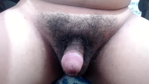 Stellaven online show from December 13, 6:53 am