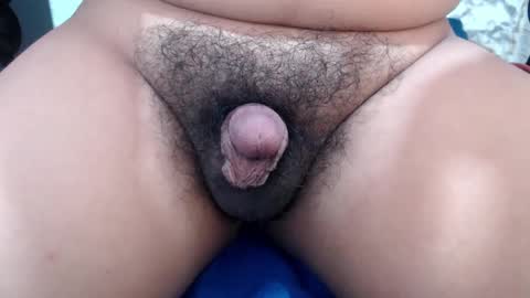 Stellaven online show from February 14, 6:56 am