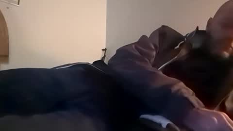 sterng123 online show from November 12, 2:45 am