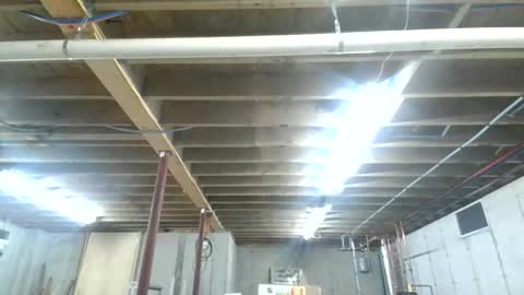 steved6001 online show from November 26, 5:47 pm