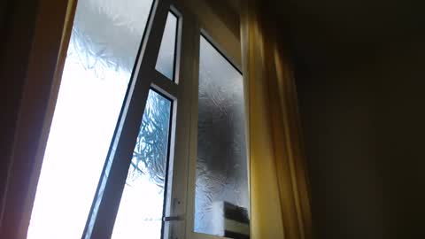 Snapshot of stevenbradley2017 chatting on January 7, 11:58 am Steven online show from January 7, 11:58 am