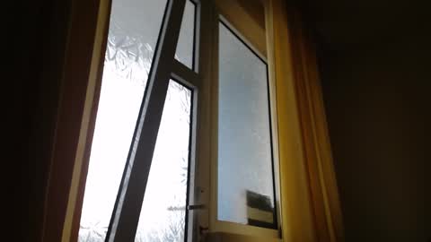 Snapshot of stevenbradley2017 chatting on January 26, 11:28 am Steven online show from January 26, 11:28 am