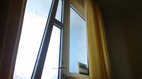 Snapshot of stevenbradley2017 chatting on February 19, 1:39 pm Steven online show from February 19, 1:39 pm