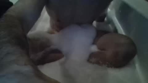 Tiny D online show from November 15, 12:52 am