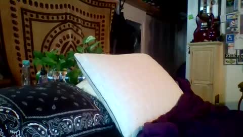 Snapshot of steviehard7 chatting on February 12, 5:15 am steviehard7 online show from February 12, 5:15 am