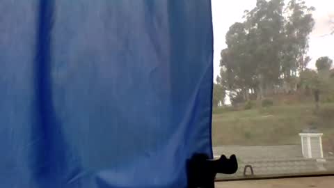 Snapshot of steviehard7 chatting on March 11, 4:51 pm steviehard7 online show from March 11, 4:51 pm