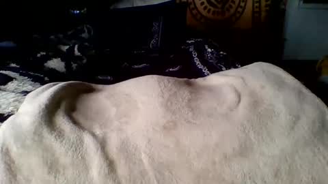 Snapshot of steviehard7 chatting on March 12, 4:02 pm steviehard7 online show from March 12, 4:02 pm