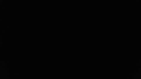 Stew Pididiot online show from February 11, 9:09 pm