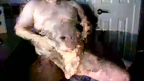 Snapshot of stockyguy31 chatting on October 16, 11:06 pm StockynCuddly online show from October 16, 11:06 pm